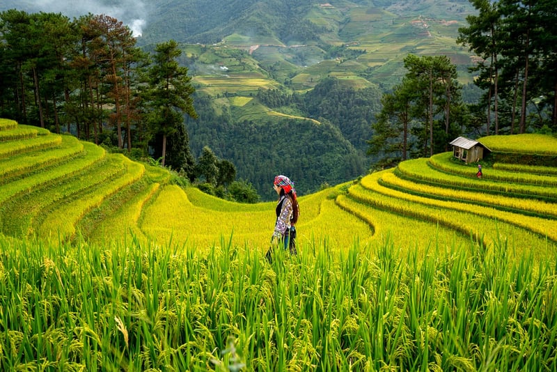 Organic Farm Stay