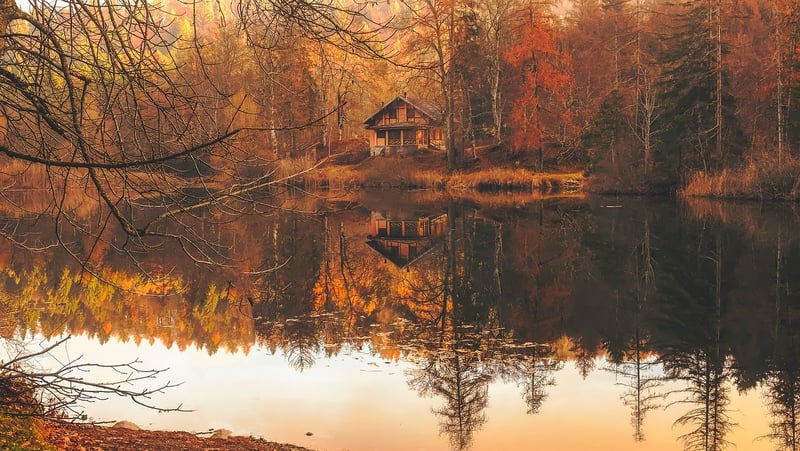 Tranquil Woods Cabin