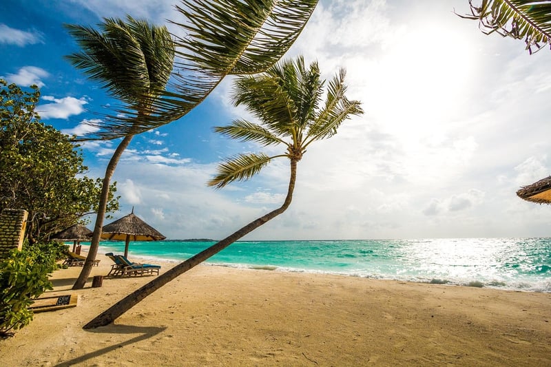 Eco-Friendly Beach Resort
